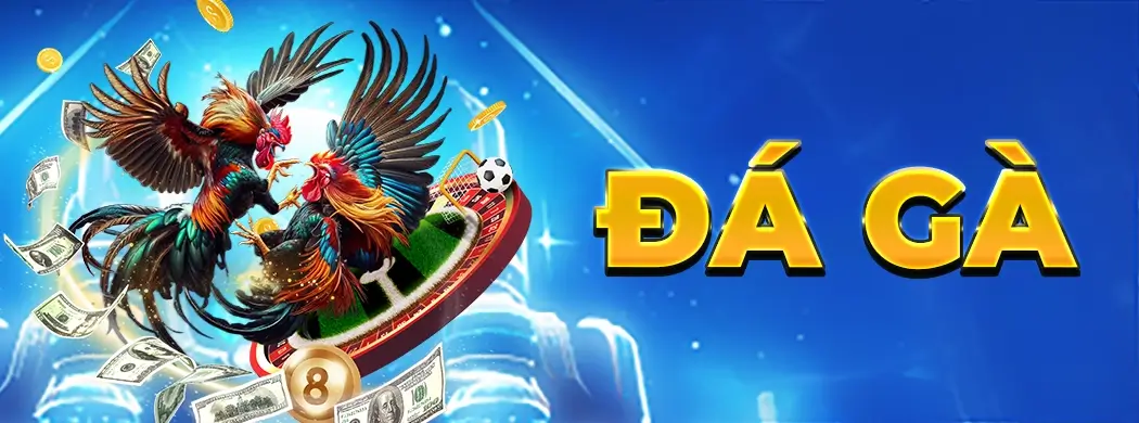 Trang chủ 13 Banner đá gà d79bet